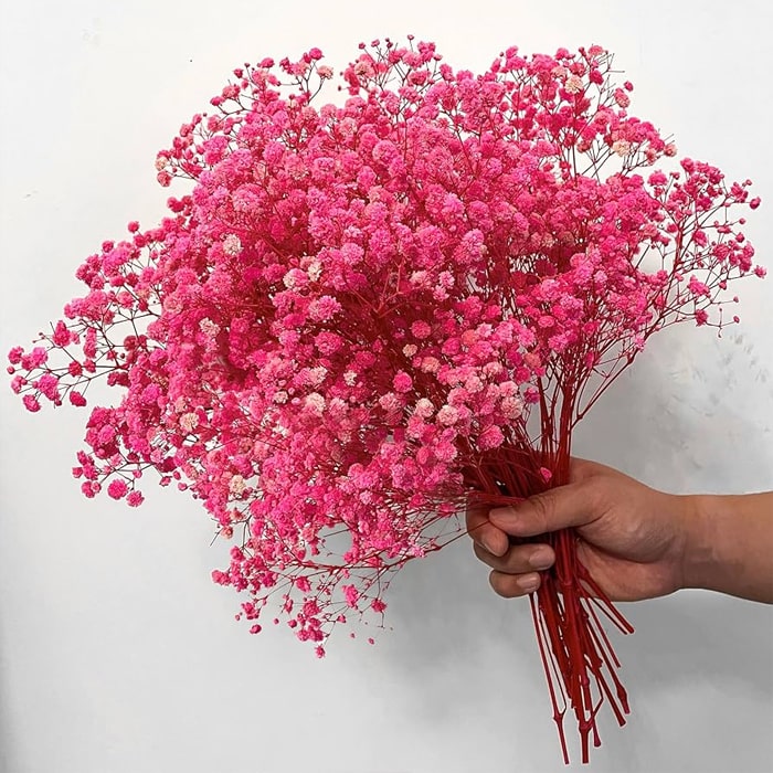 pink-min